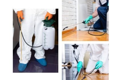 bed bugs removal company Springfield MO