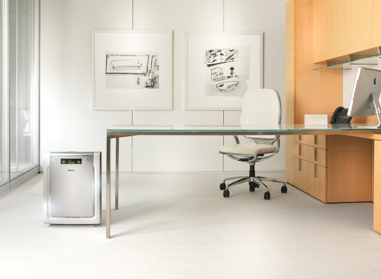 business portrait photography chicago il